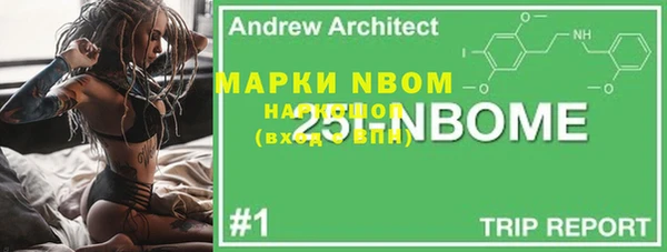 apvp Вяземский