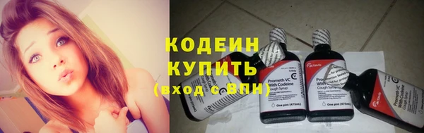 apvp Вяземский