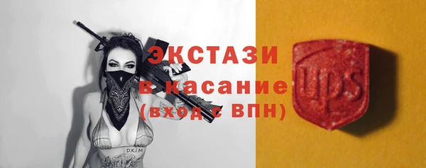 apvp Вяземский