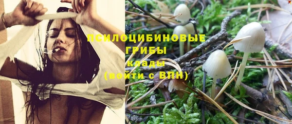 apvp Вяземский