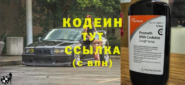 apvp Вяземский