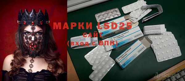 apvp Вяземский